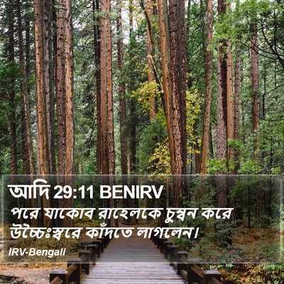 আদি 29:11 BENIRV Bible Verse Image
