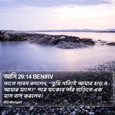 আদি 29:14 BENIRV Bible Verse Image