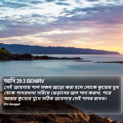 আদি 29:3 BENIRV Bible Verse Image