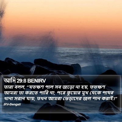 আদি 29:8 BENIRV Bible Verse Image