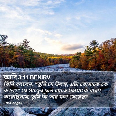 আদি 3:11 BENIRV Bible Verse Image