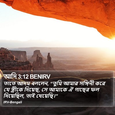 আদি 3:12 BENIRV Bible Verse Image