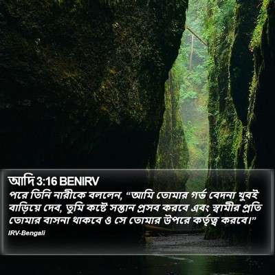 আদি 3:16 BENIRV Bible Verse Image