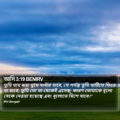 আদি 3:19 BENIRV Bible Verse Image