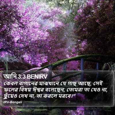 আদি 3:3 BENIRV Bible Verse Image
