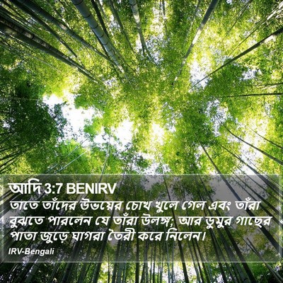 আদি 3:7 BENIRV Bible Verse Image