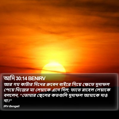 আদি 30:14 BENIRV Bible Verse Image