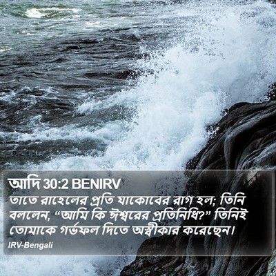 আদি 30:2 BENIRV Bible Verse Image