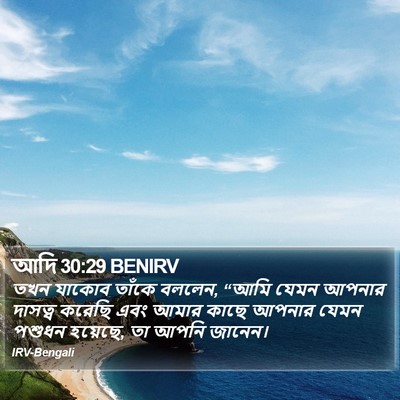আদি 30:29 BENIRV Bible Verse Image