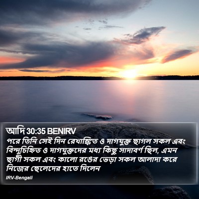 আদি 30:35 BENIRV Bible Verse Image