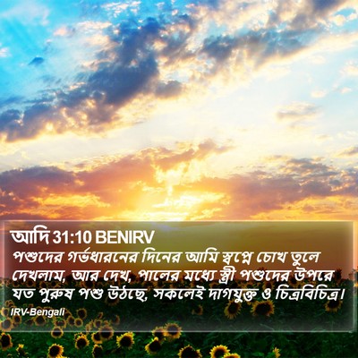আদি 31:10 BENIRV Bible Verse Image