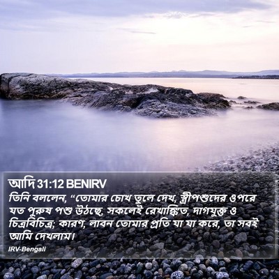 আদি 31:12 BENIRV Bible Verse Image