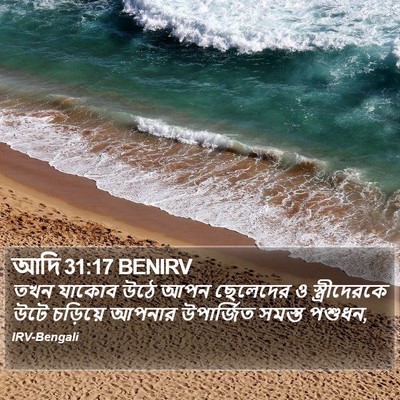 আদি 31:17 BENIRV Bible Verse Image