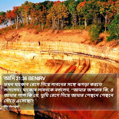 আদি 31:36 BENIRV Bible Verse Image