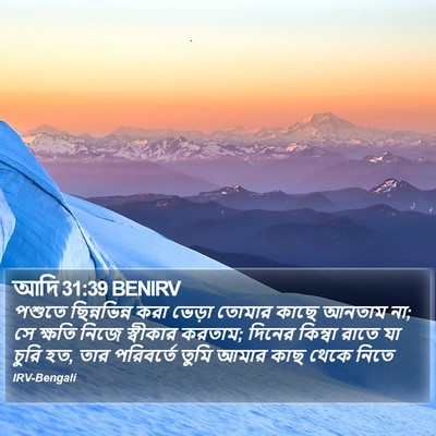 আদি 31:39 BENIRV Bible Verse Image