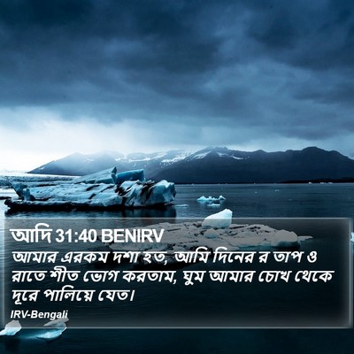 আদি 31:40 BENIRV Bible Verse Image