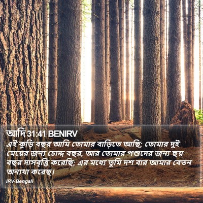 আদি 31:41 BENIRV Bible Verse Image