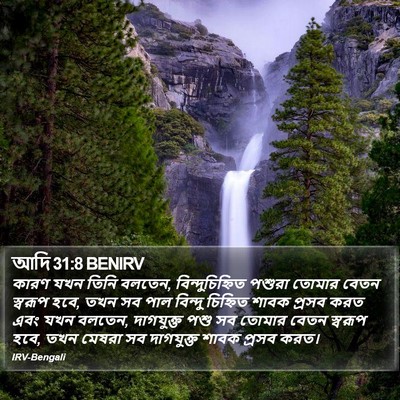 আদি 31:8 BENIRV Bible Verse Image
