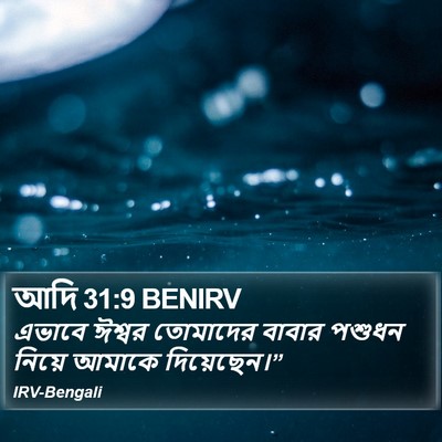 আদি 31:9 BENIRV Bible Verse Image