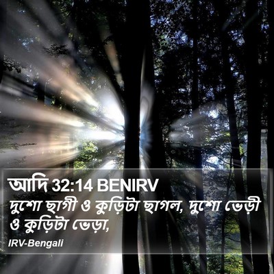 আদি 32:14 BENIRV Bible Verse Image