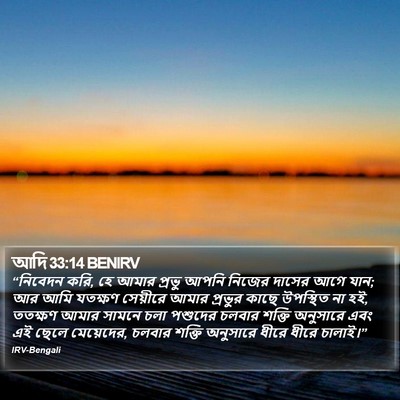 আদি 33:14 BENIRV Bible Verse Image