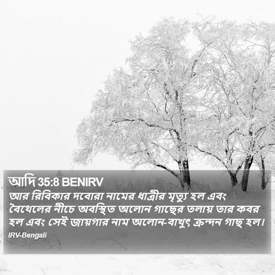 আদি 35:8 BENIRV Bible Verse Image