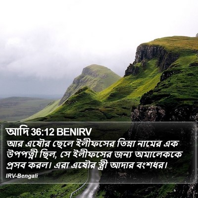 আদি 36:12 BENIRV Bible Verse Image