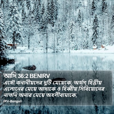 আদি 36:2 BENIRV Bible Verse Image