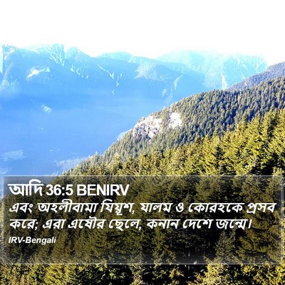 আদি 36:5 BENIRV Bible Verse Image