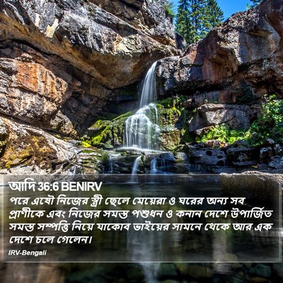 আদি 36:6 BENIRV Bible Verse Image