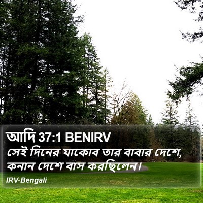আদি 37:1 BENIRV Bible Verse Image