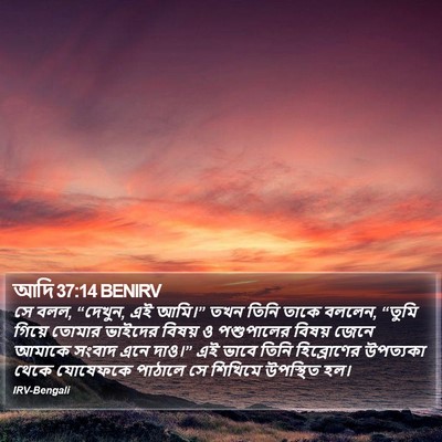 আদি 37:14 BENIRV Bible Verse Image