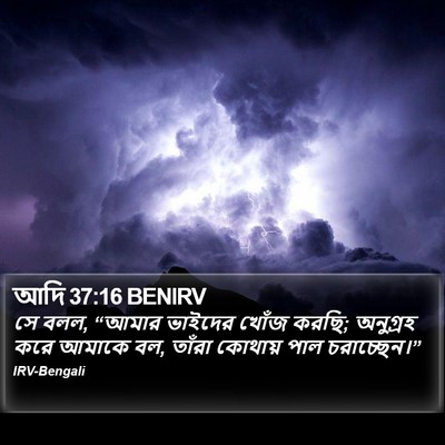 আদি 37:16 BENIRV Bible Verse Image