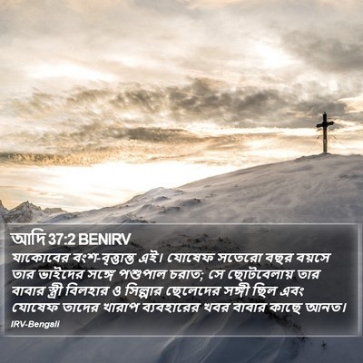 আদি 37:2 BENIRV Bible Verse Image