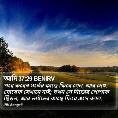 আদি 37:29 BENIRV Bible Verse Image