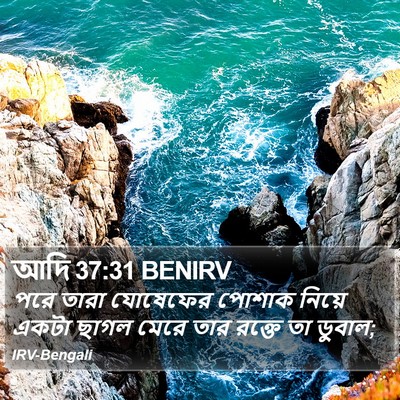 আদি 37:31 BENIRV Bible Verse Image