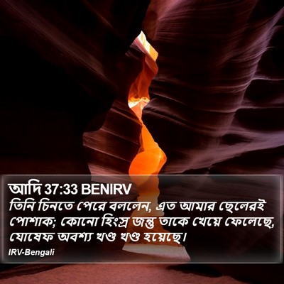 আদি 37:33 BENIRV Bible Verse Image