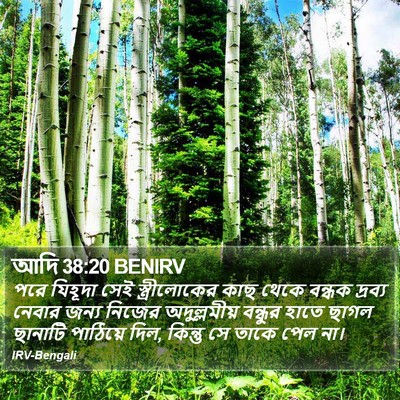 আদি 38:20 BENIRV Bible Verse Image