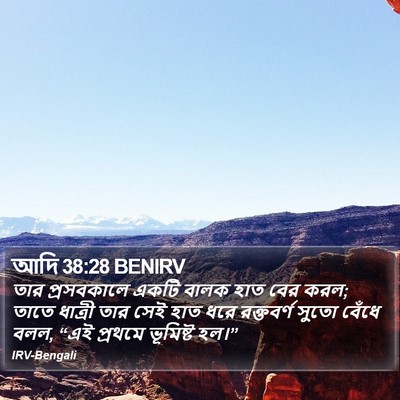 আদি 38:28 BENIRV Bible Verse Image