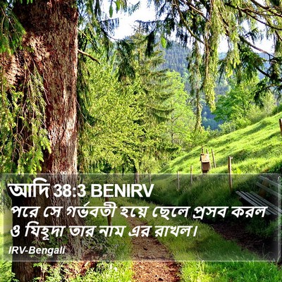 আদি 38:3 BENIRV Bible Verse Image
