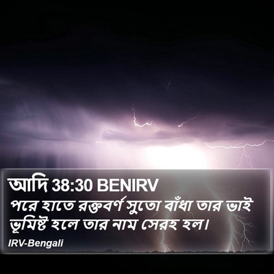 আদি 38:30 BENIRV Bible Verse Image