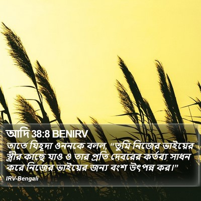 আদি 38:8 BENIRV Bible Verse Image