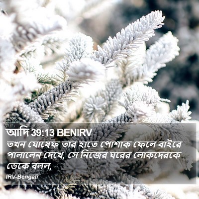 আদি 39:13 BENIRV Bible Verse Image