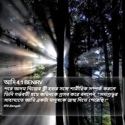 আদি 4:1 BENIRV Bible Verse Image