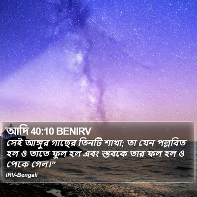 আদি 40:10 BENIRV Bible Verse Image