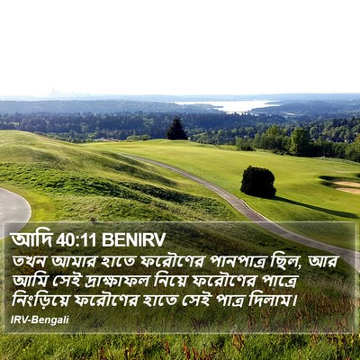 আদি 40:11 BENIRV Bible Verse Image