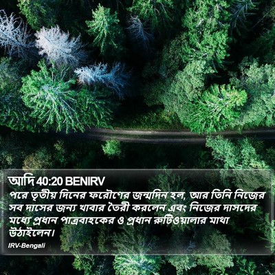 আদি 40:20 BENIRV Bible Verse Image