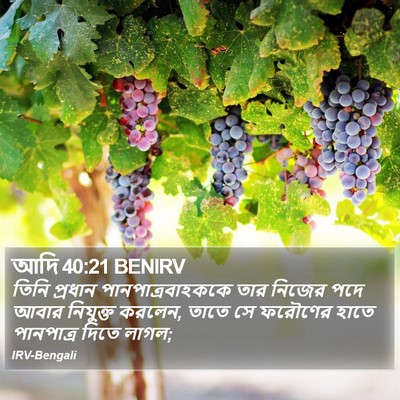 আদি 40:21 BENIRV Bible Verse Image