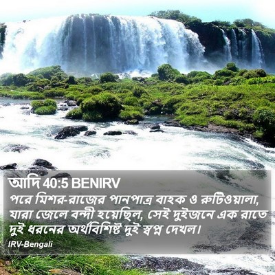 আদি 40:5 BENIRV Bible Verse Image