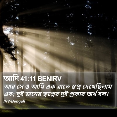 আদি 41:11 BENIRV Bible Verse Image